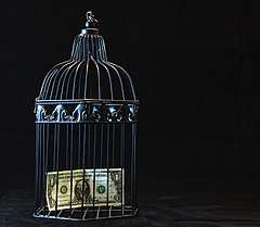 Black Steel Pet Cage With One Dollar (43114564870).jpg